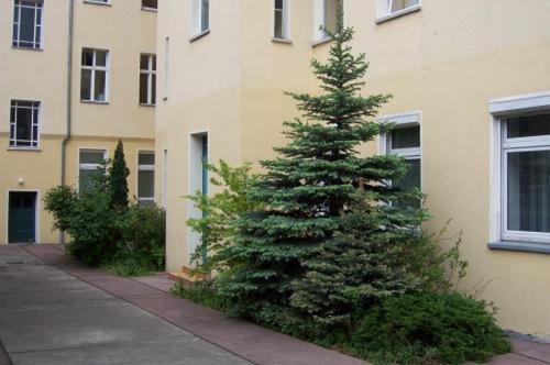 Hotel Pension Streuhof Berlin Eksteriør billede